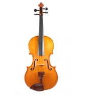 Viola