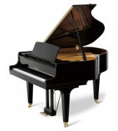 Pianos de cauda
