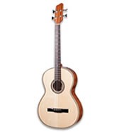 Baixos acústicos e semi-acústicos