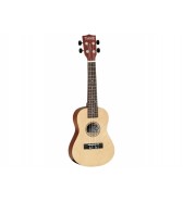 Ukulele Concerto